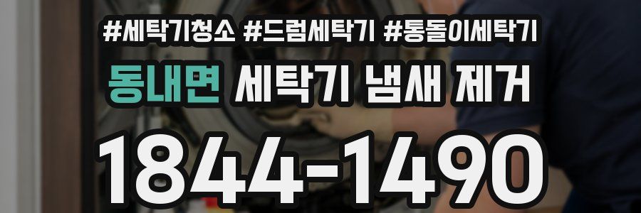 동내면 세탁기 냄새 제거