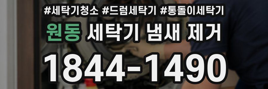 원동 세탁기 냄새 제거