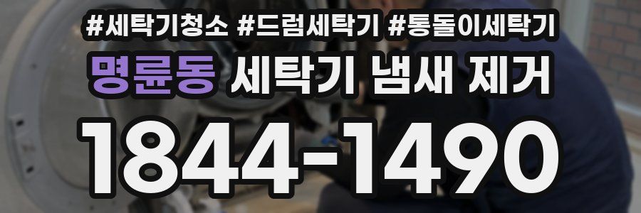 명륜동 세탁기 냄새 제거