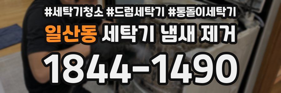 일산동 세탁기 냄새 제거