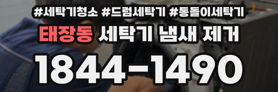 태장동 세탁기 냄새 제거