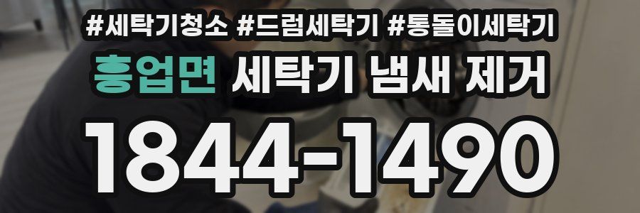 흥업면 세탁기 냄새 제거