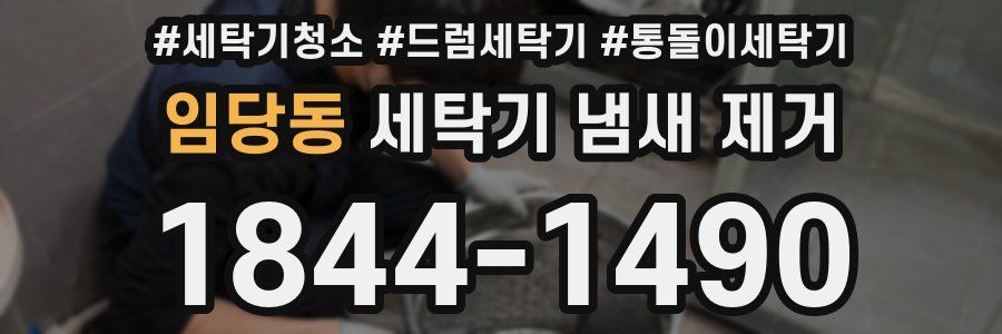 임당동 세탁기 냄새 제거