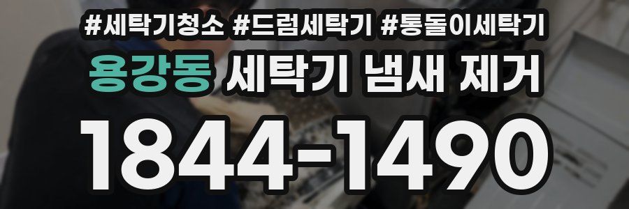 용강동 세탁기 냄새 제거
