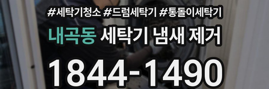 내곡동 세탁기 냄새 제거