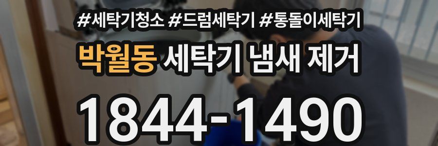 박월동 세탁기 냄새 제거