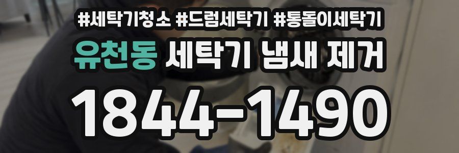 유천동 세탁기 냄새 제거