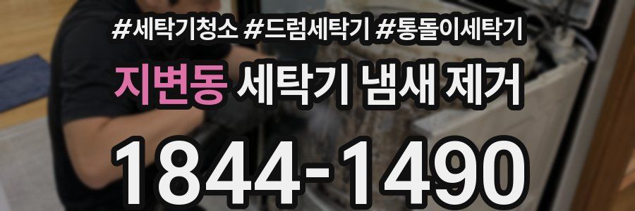 지변동 세탁기 냄새 제거