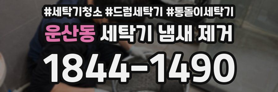운산동 세탁기 냄새 제거