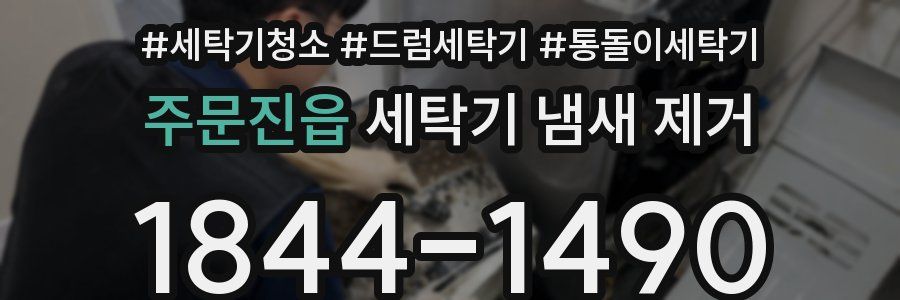 주문진읍 세탁기 냄새 제거