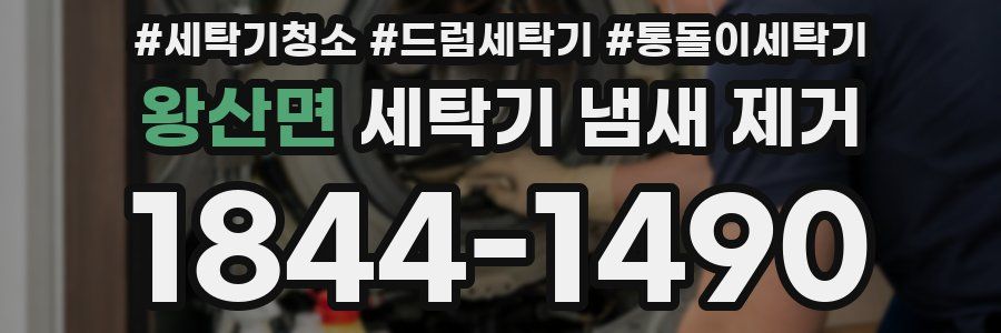 왕산면 세탁기 냄새 제거