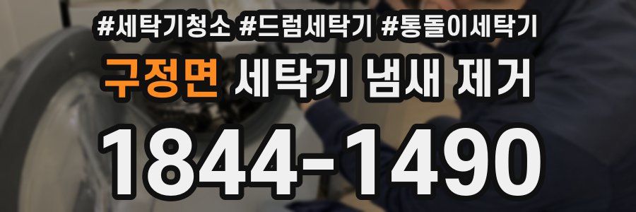 구정면 세탁기 냄새 제거