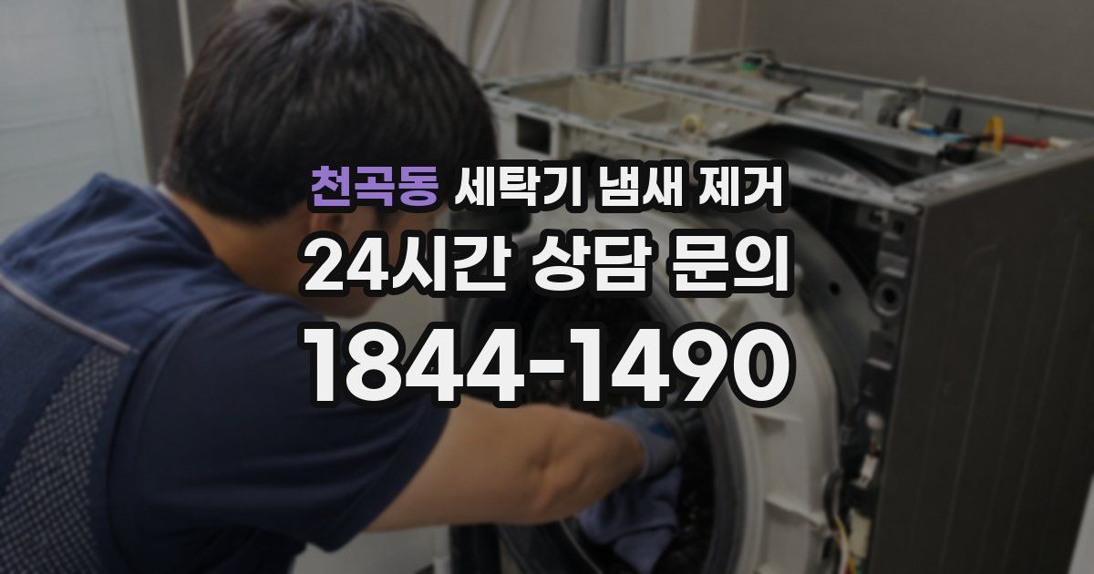천곡동 세탁기 냄새 제거