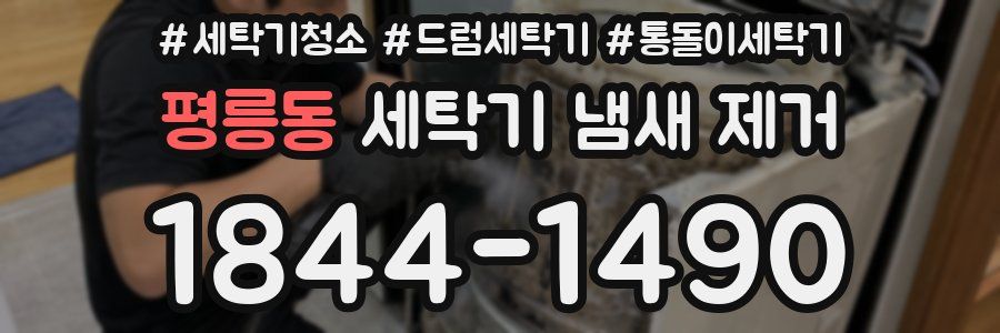 평릉동 세탁기 냄새 제거