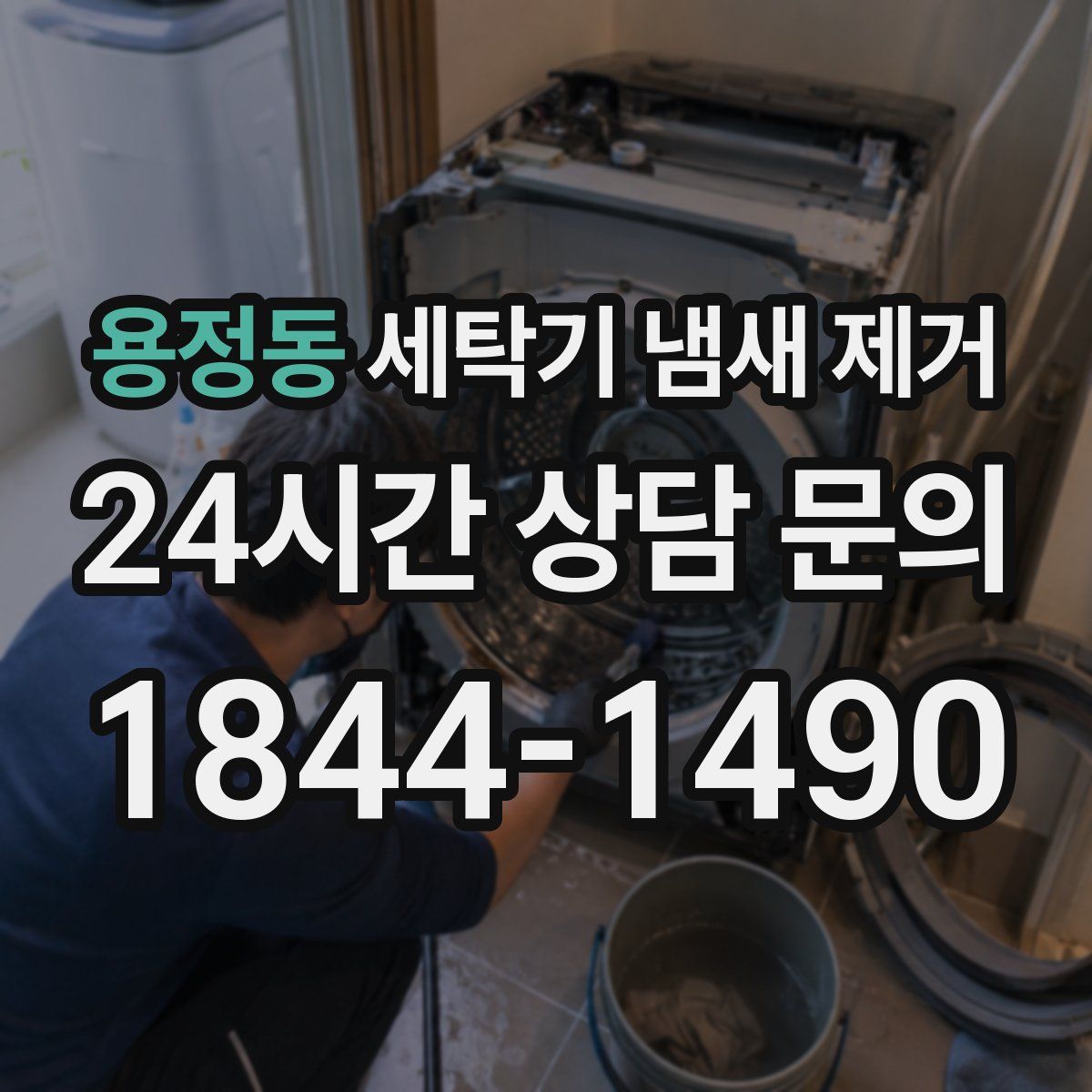 용정동 세탁기 냄새 제거