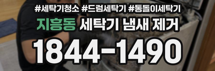 지흥동 세탁기 냄새 제거