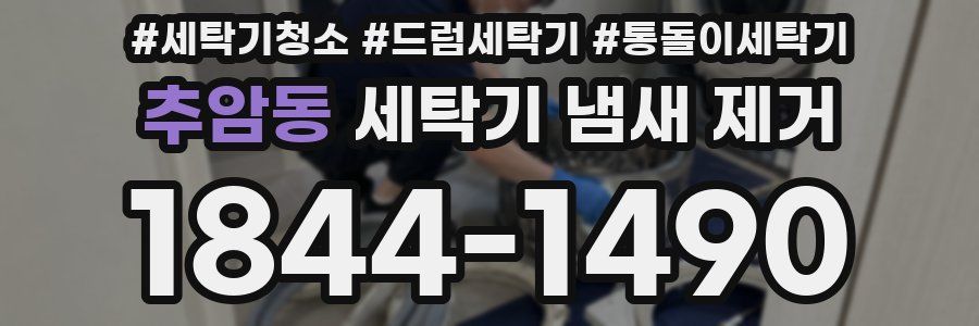 추암동 세탁기 냄새 제거