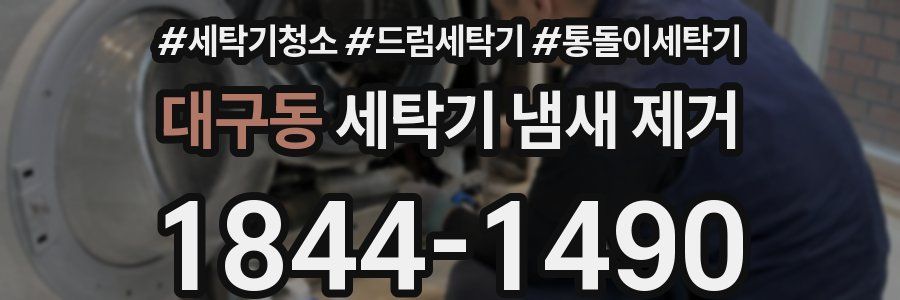 대구동 세탁기 냄새 제거