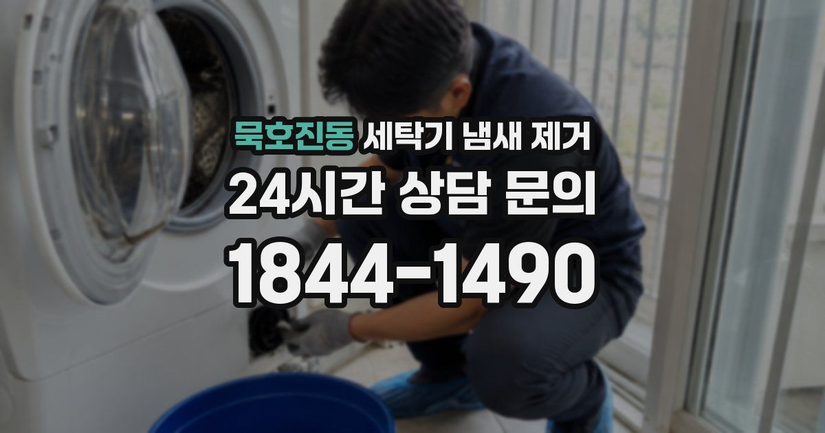 묵호진동 세탁기 냄새 제거