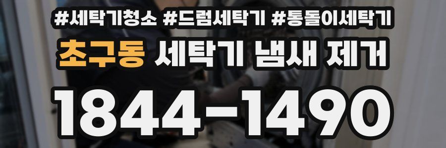 초구동 세탁기 냄새 제거