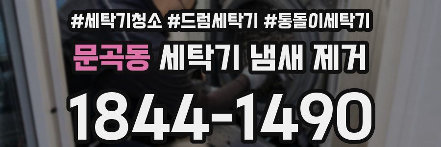 문곡동 세탁기 냄새 제거