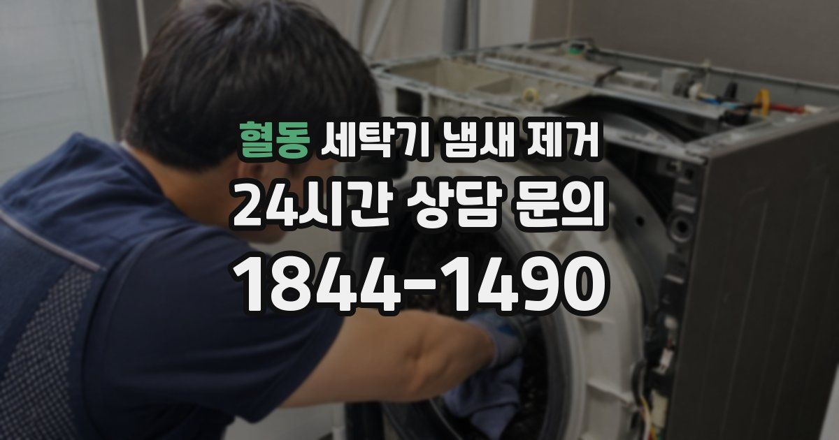 혈동 세탁기 냄새 제거