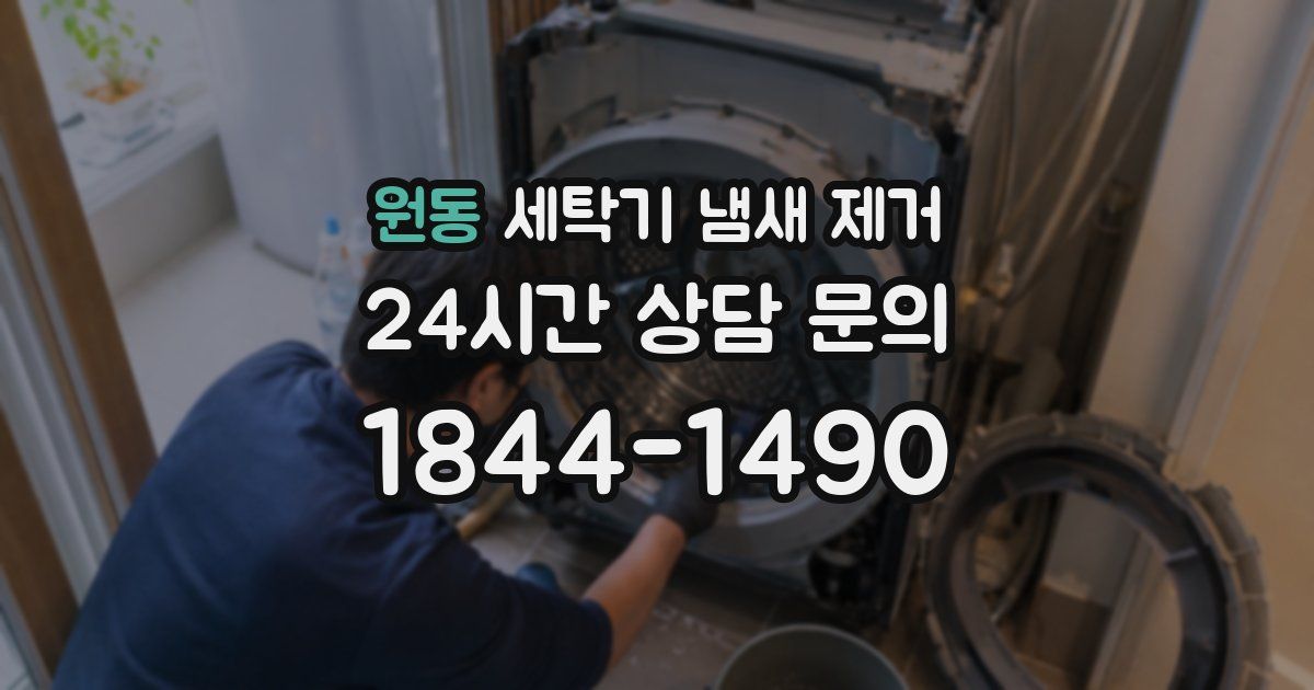 원동 세탁기 냄새 제거