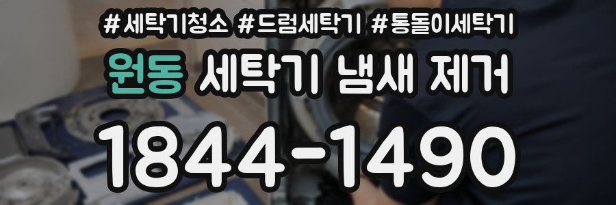 원동 세탁기 냄새 제거
