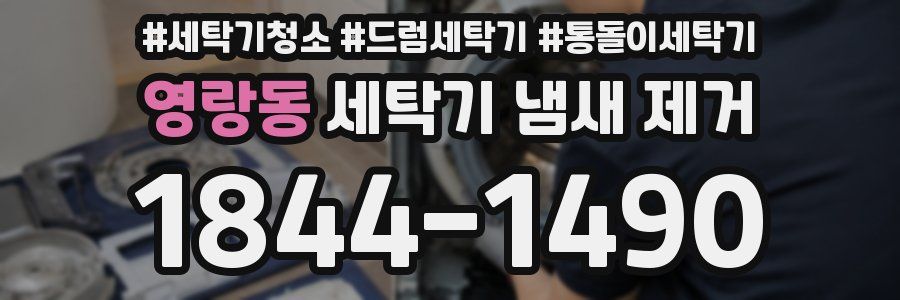 영랑동 세탁기 냄새 제거