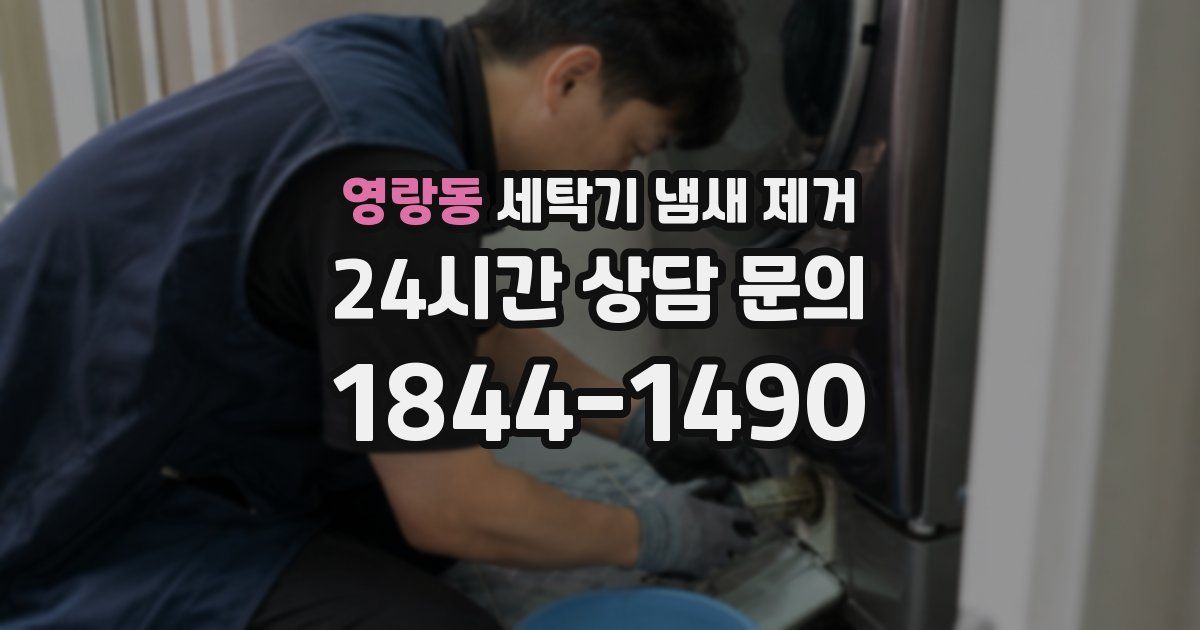영랑동 세탁기 냄새 제거