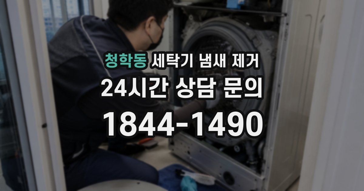 청학동 세탁기 냄새 제거