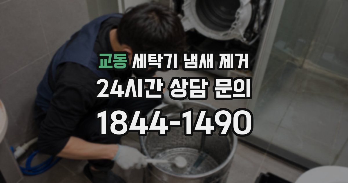교동 세탁기 냄새 제거