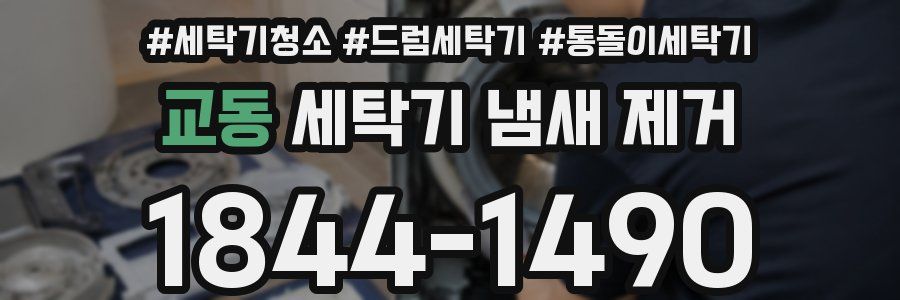 교동 세탁기 냄새 제거