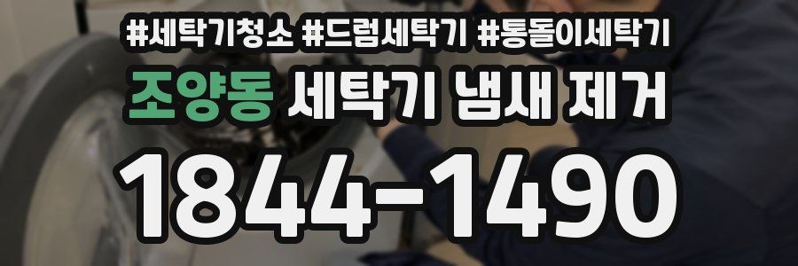 조양동 세탁기 냄새 제거
