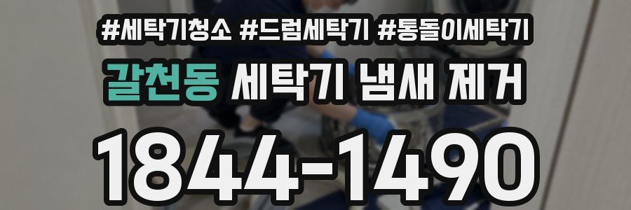 갈천동 세탁기 냄새 제거