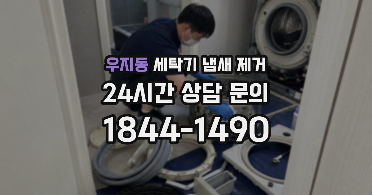 우지동 세탁기 냄새 제거