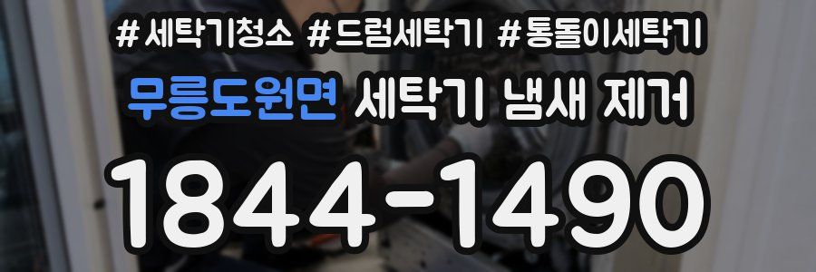 무릉도원면 세탁기 냄새 제거
