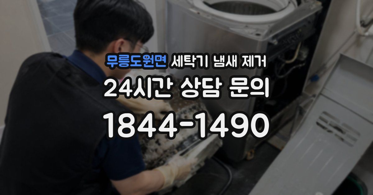 무릉도원면 세탁기 냄새 제거