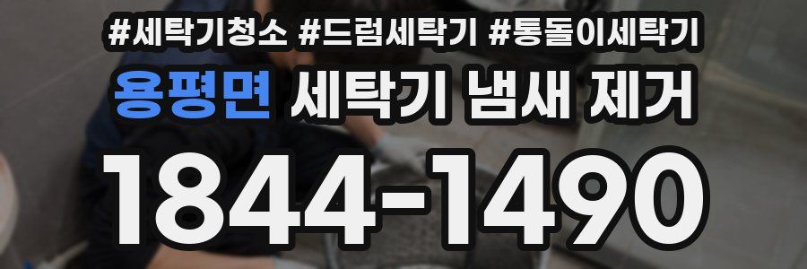 용평면 세탁기 냄새 제거