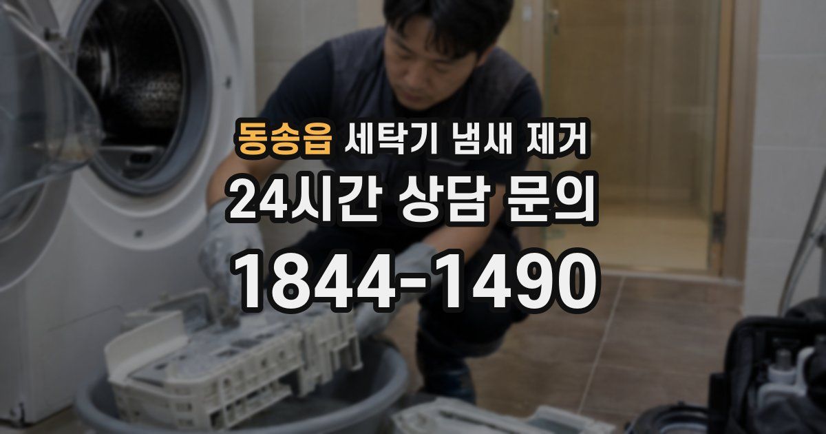 동송읍 세탁기 냄새 제거