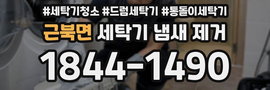 근북면 세탁기 냄새 제거