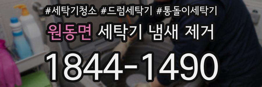 원동면 세탁기 냄새 제거