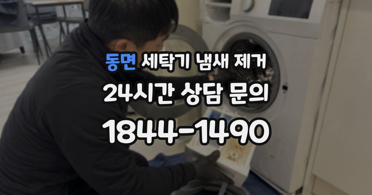 동면 세탁기 냄새 제거