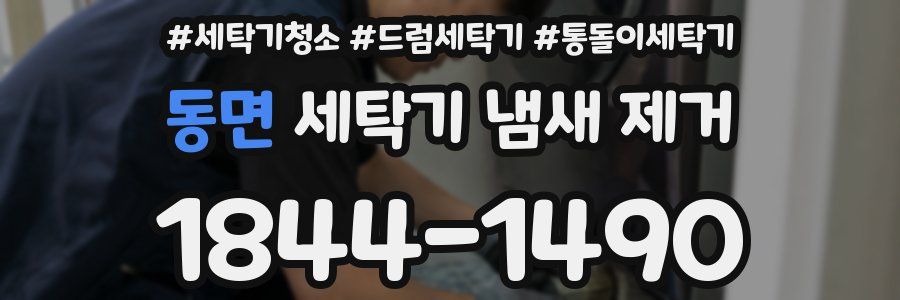 동면 세탁기 냄새 제거