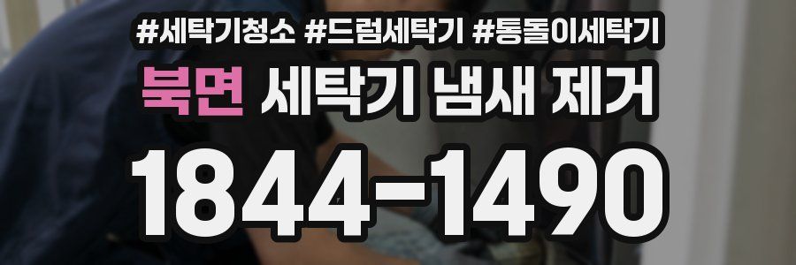 북면 세탁기 냄새 제거