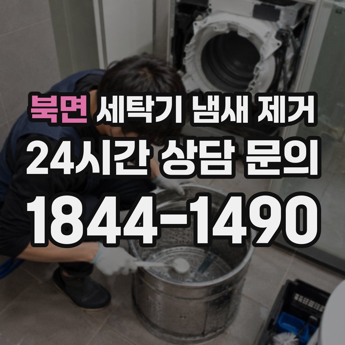 북면 세탁기 냄새 제거