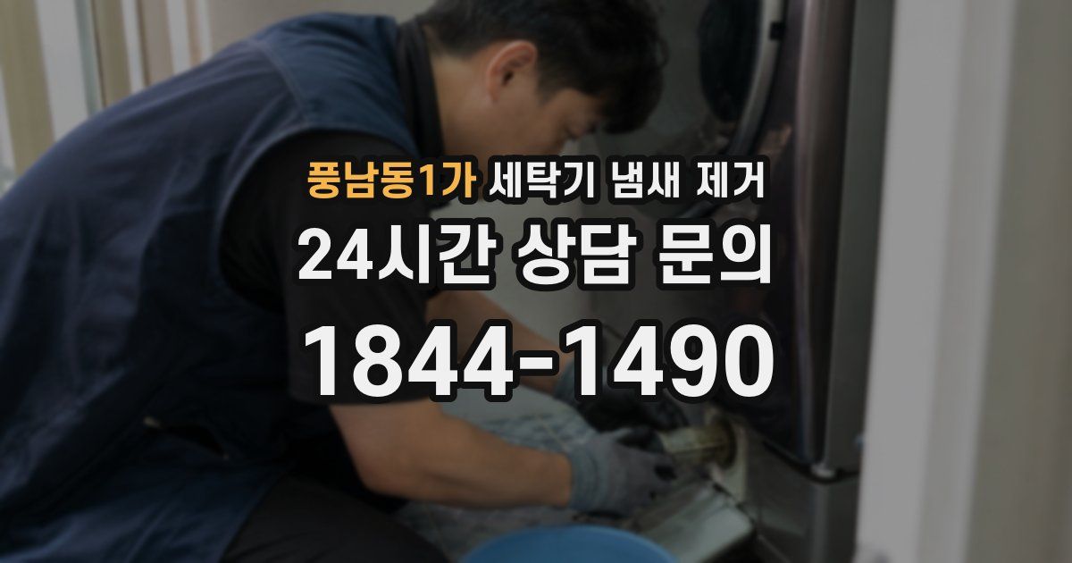 풍남동1가 세탁기 냄새 제거