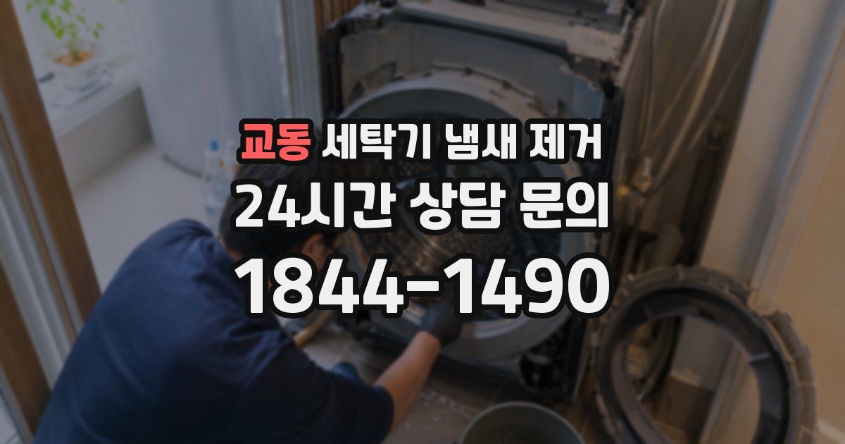 교동 세탁기 냄새 제거