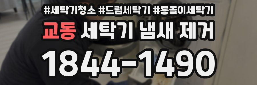 교동 세탁기 냄새 제거