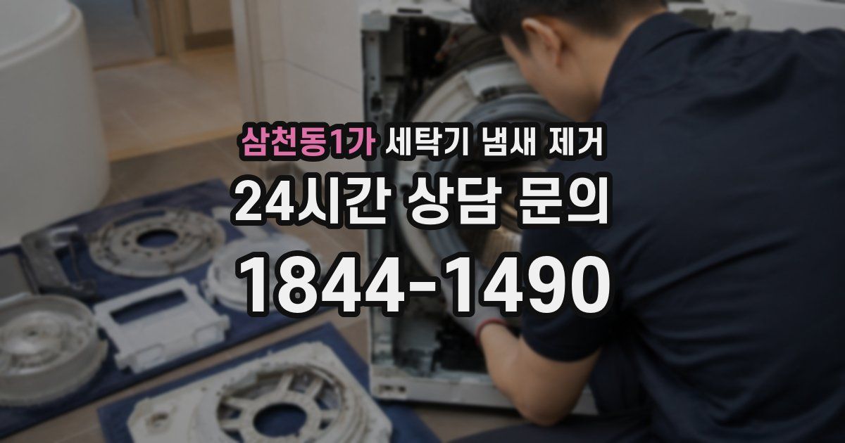 삼천동1가 세탁기 냄새 제거